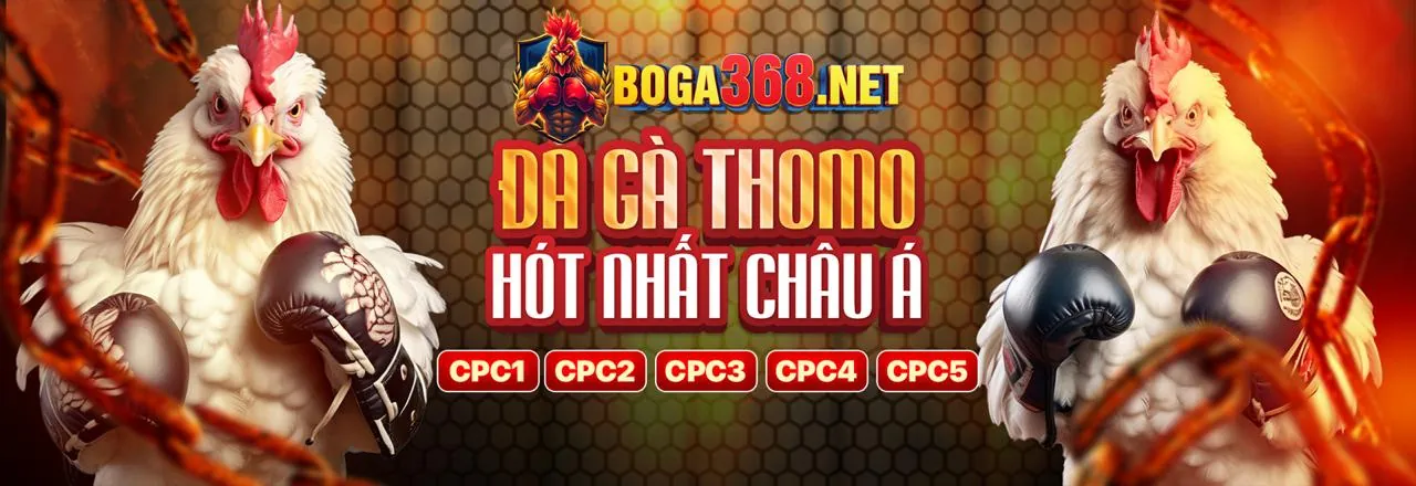 Tin tức mới nhất về 8kbets Code và các sự kiện cá cược thể thao hấp dẫn